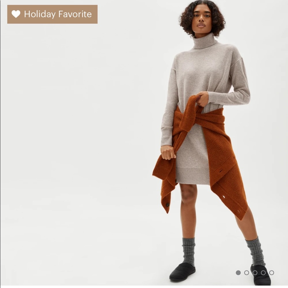 Everlane The Cashmere Turtleneck Dress Oatmeal